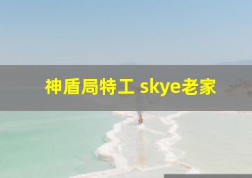 神盾局特工 skye老家